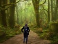 /album/photogallery/walkinthe-woods-ciricle-jpg1/